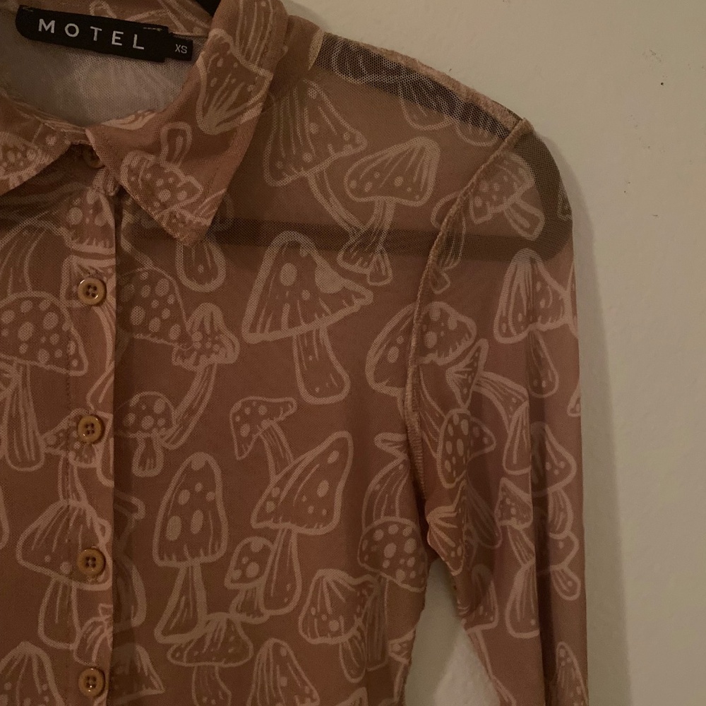 Motel Rocks Tan Sheer Top - Picture 2 of 5